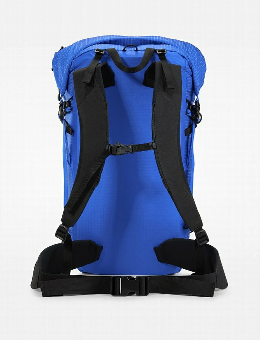 楽天市場】アークテリクス ARC'TERYX Rush SK 32 Backpack Fluidity BC