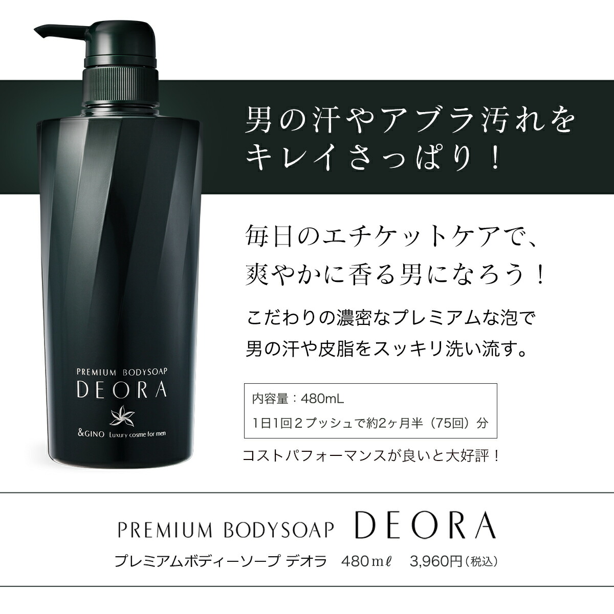 楽天市場】【期間限定ポイント10倍 3/11 01:59まで】【楽天ベスト