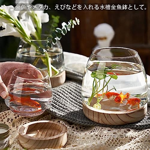 楽天市場】【楽天2位】金魚鉢 おしゃれ 金魚 メダカ 水槽 室内 容器 鉢