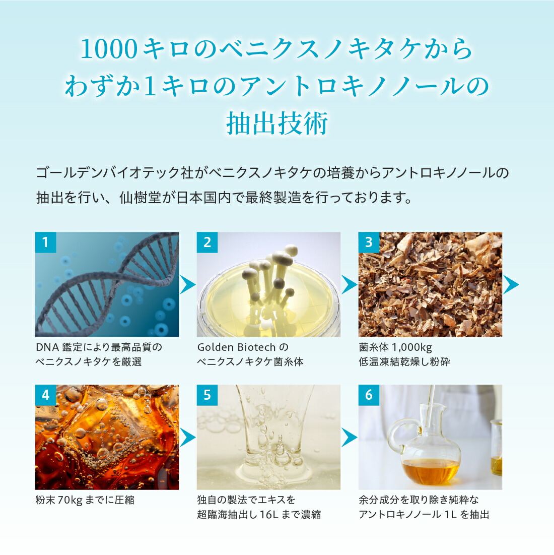 楽天市場 | 仙樹堂アントロキノノール専門店 - 高濃度アントロキノ