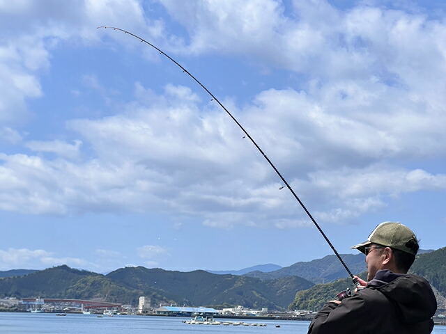 楽天市場】あおりねっと アオリライドエギングモバイルS78M 4PCS