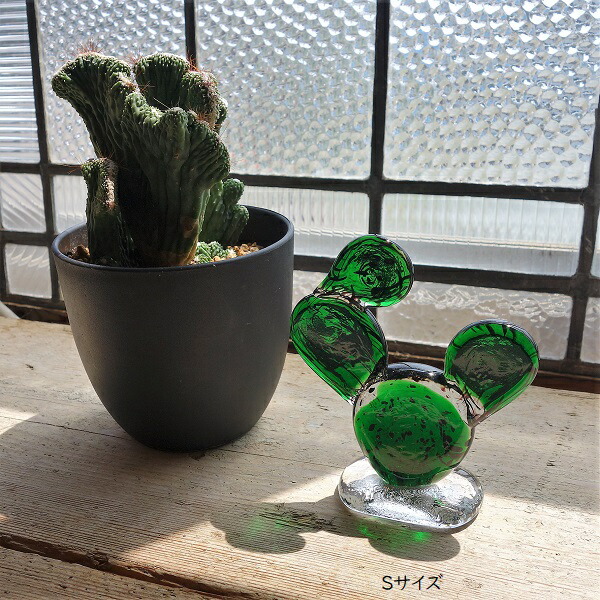 楽天市場】S ガラスのうちわサボテン SCACTUS GLASS ORNAMENT amabro