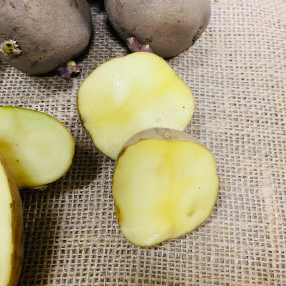 楽天市場】種芋 キタアカリ Sサイズ 1キロ（約18コ）切らずに植え