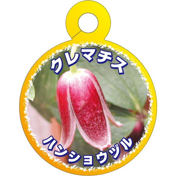 クレマチス ガーデニング 品種」の人気商品一覧 | 安い商品を通販