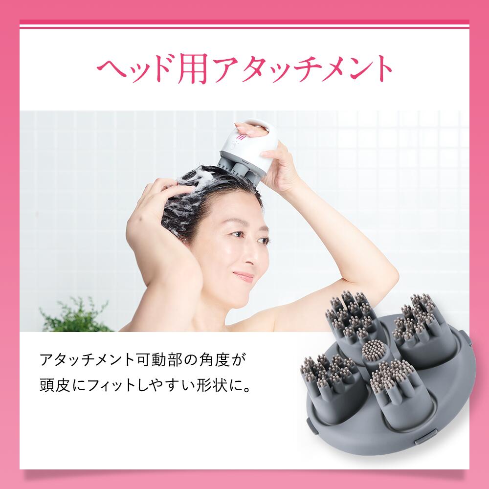 楽天市場】【40％OFFクーポン】 アートネイチャー LH スカルプ