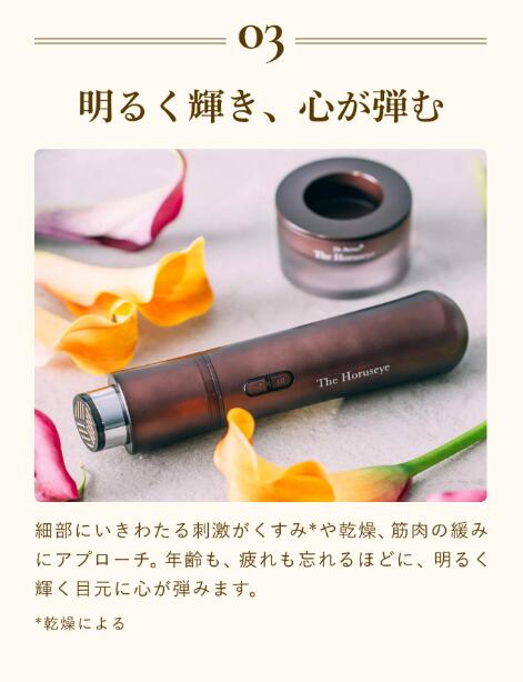 楽天市場】全品ポイント20倍！【公式限定2年保証】目元美顔器【A