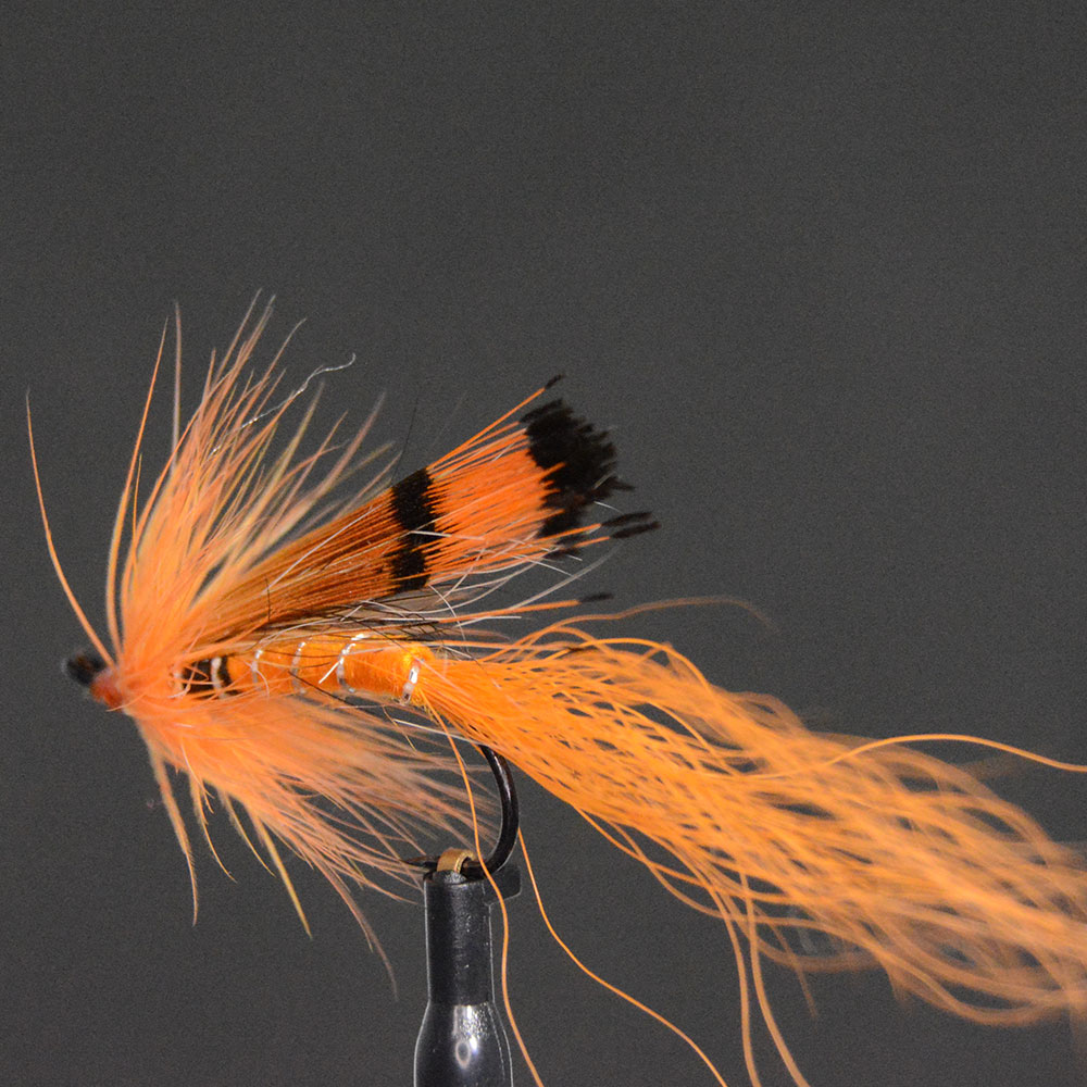 楽天市場】【1日｜ワンダフルデー限定 最大20%オフ】サーモンフライ