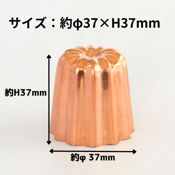 楽天市場】銅 カヌレ型 プチ 浅井商店オリジナル ひとくちミニサイズ