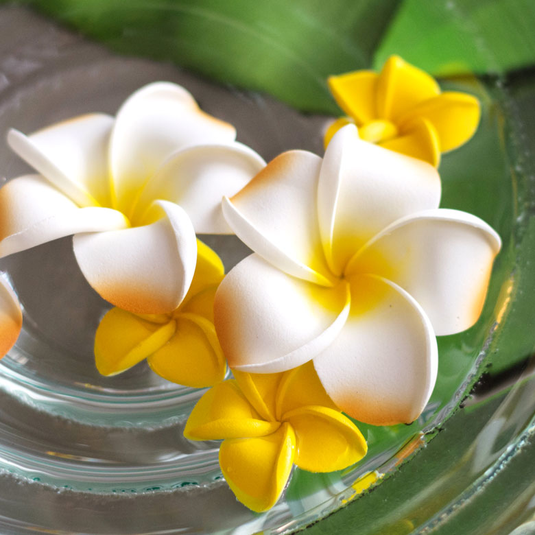 楽天市場】プルメリア アジアン 造花 スタンダードタイプ Mサイズ