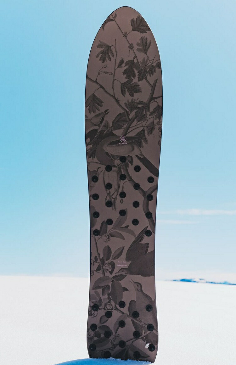 楽天市場】BURTON Family Tree Backseat Driver Pow Surfing Board