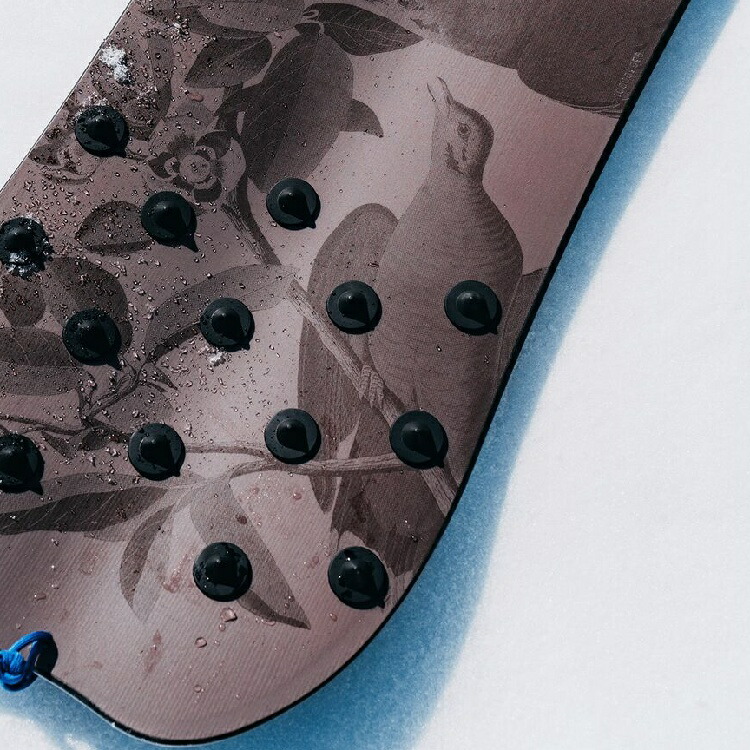 楽天市場】BURTON Family Tree Backseat Driver Pow Surfing Board