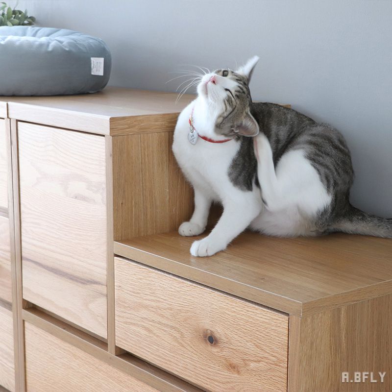 楽天市場】【日本製】猫 階段チェスト キャットステップ 引出収納