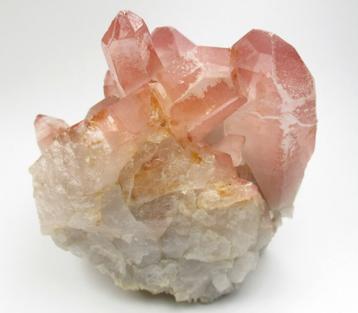 楽天市場】【ポイント5倍＆クーポン】【訳あり】ピンクレムリアン