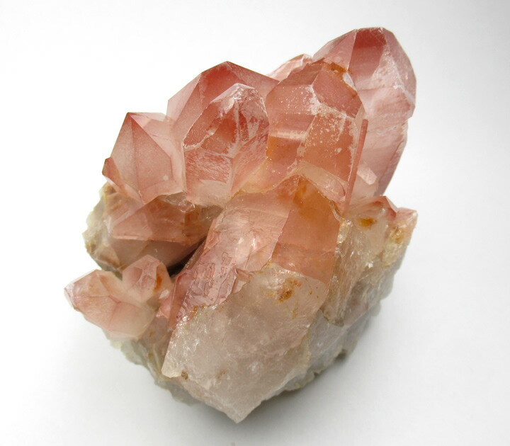 楽天市場】【ポイント5倍＆クーポン】【訳あり】ピンクレムリアン