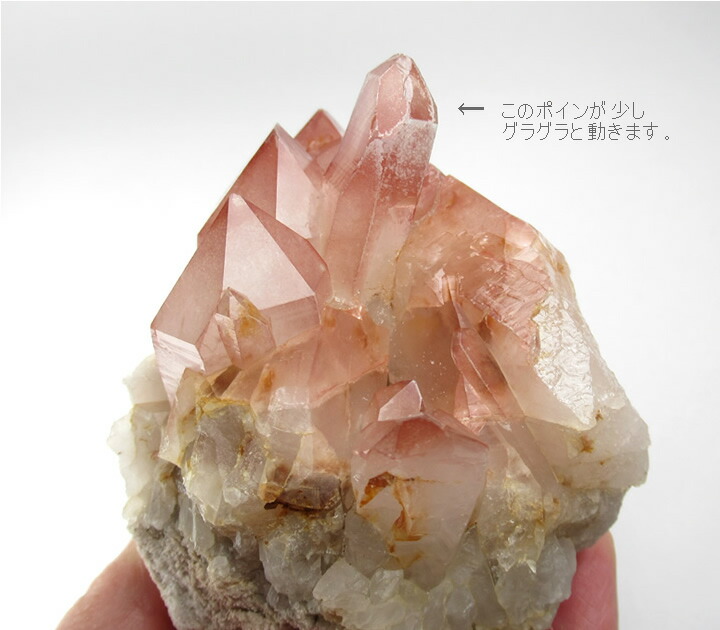 楽天市場】【ポイント5倍＆クーポン】【訳あり】ピンクレムリアン