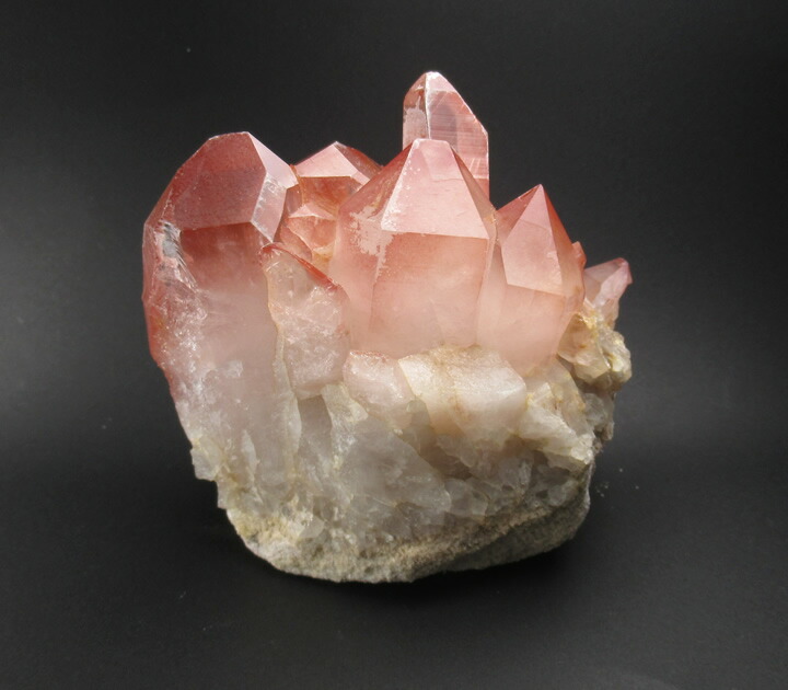 楽天市場】【ポイント5倍＆クーポン】【訳あり】ピンクレムリアン