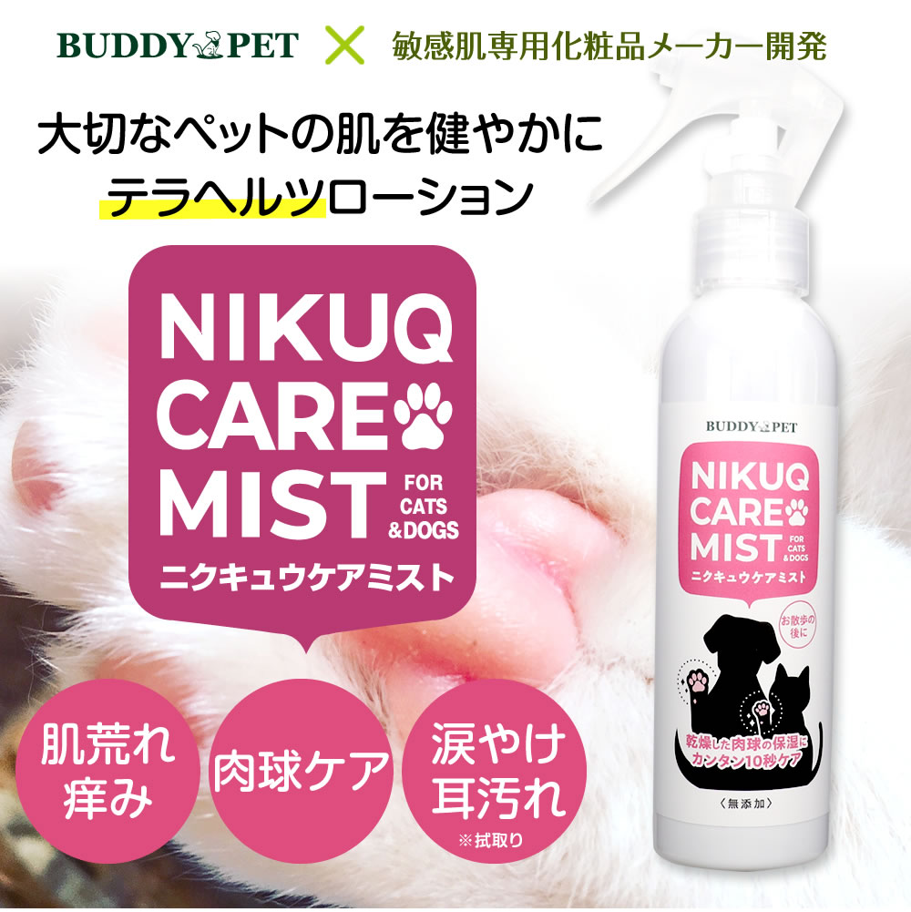 楽天市場】【正規販売代理店】【ケアセット】ブランシュ テラ