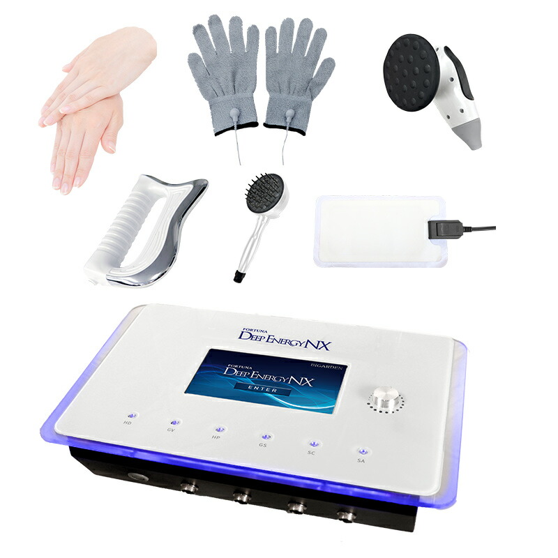 楽天市場】FORTUNA DEEP ENERGY NX【ディープエナジーエヌエックス