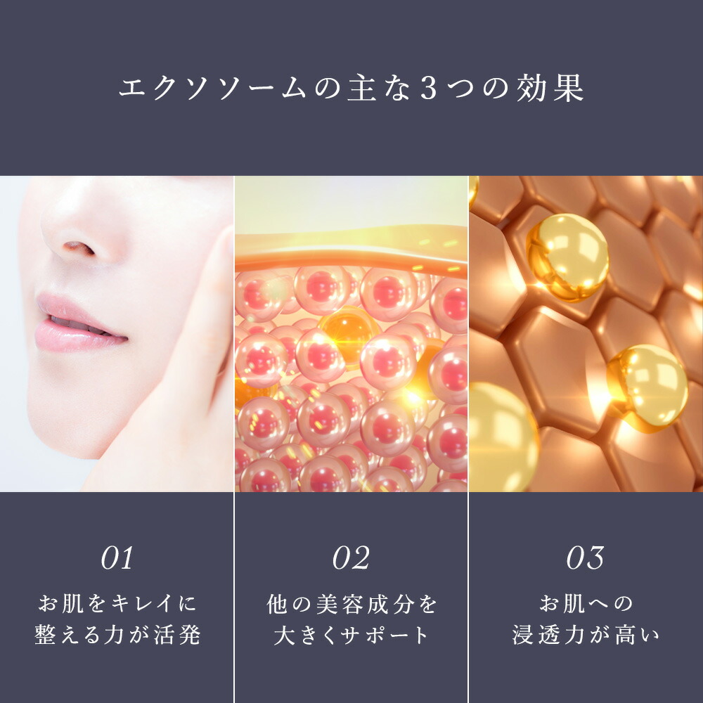 楽天市場】ヒト幹細胞 エクソソーム 高配合｜美容液【セルコード