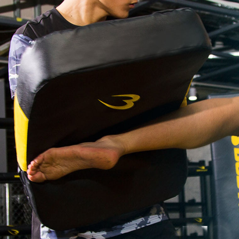 楽天市場】【期間限定20%OFF】ビッグミットDX BODYMAKER ボディ