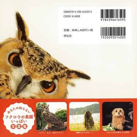 楽天ブックス: 【バーゲン本】もふもふフクロウガルーさんの休日