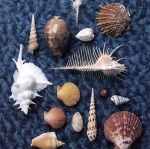 楽天市場】【中古】 CYCLE HIT 1991−1997 Spitz