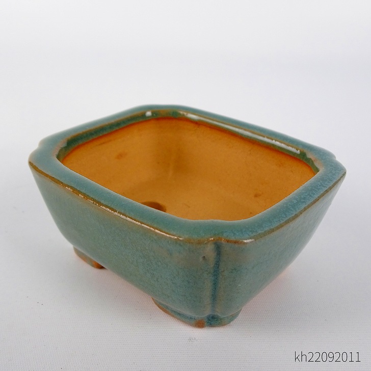 楽天市場】盆栽鉢 常滑 柴勝 小鉢 長辺 約7cm 長方鉢 隅入 緑釉 現品