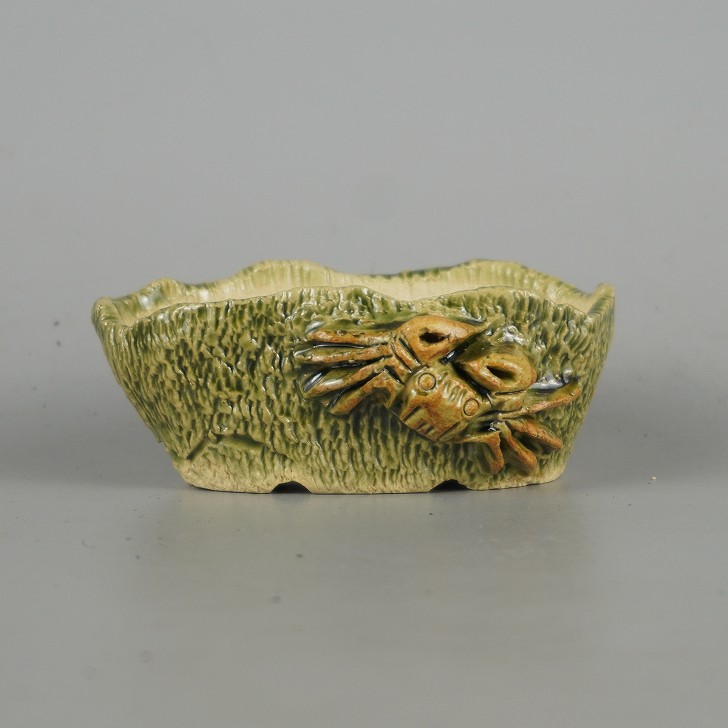 楽天市場】盆栽鉢 卓道 小鉢 長辺 約 8.8cm 変形 楕円鉢 蟹付 かに