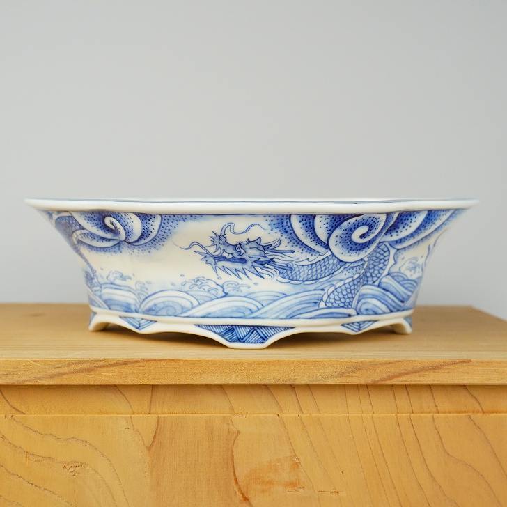 楽天市場】盆栽鉢 月香 染付 龍絵 外縁 木瓜鉢 観賞用 現品 新品 送料