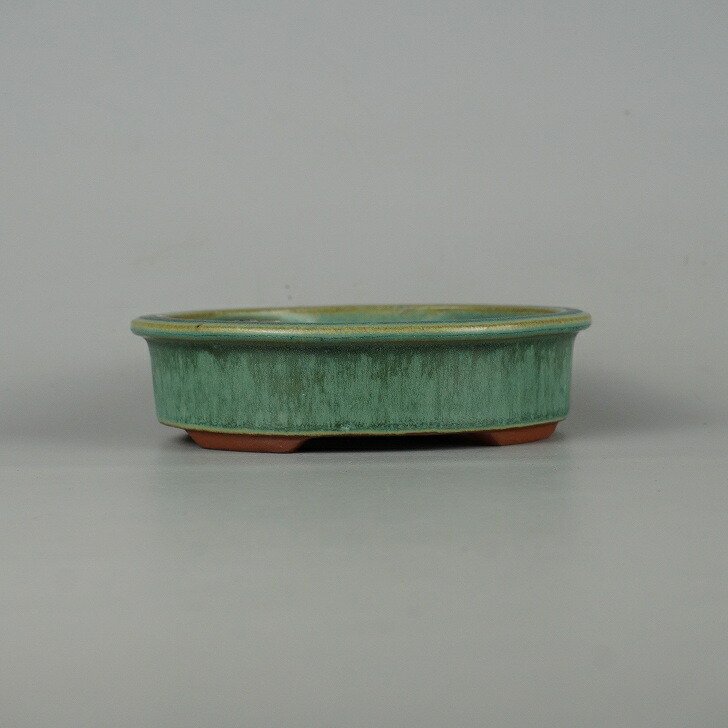 楽天市場】盆栽鉢 常滑 燿山窯 英明 小型 長辺 約14.8cm 楕円鉢 外縁