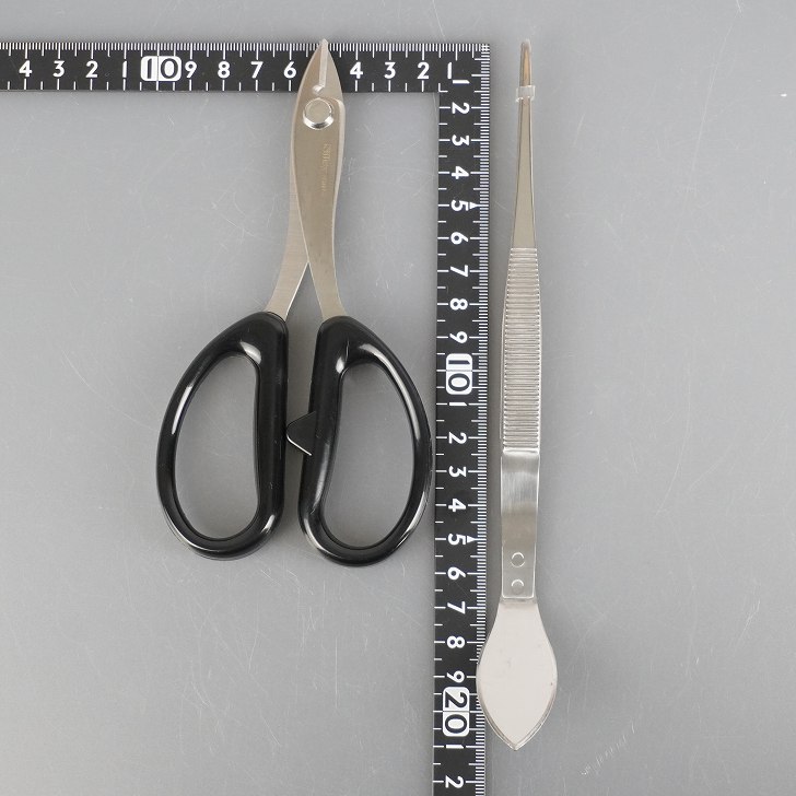 楽天市場】盆栽 道具 セット 剪定ばさみ ワイヤーカッター 八床 ヘラ付