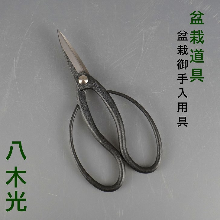 楽天市場】盆栽はさみ 剪定ばさみ 盆栽 道具 全長 約 18cm 八木光 盆栽
