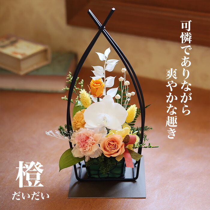 楽天市場】ホワイトデー お返し 2026 プリザーブドフラワー 花 胡蝶蘭