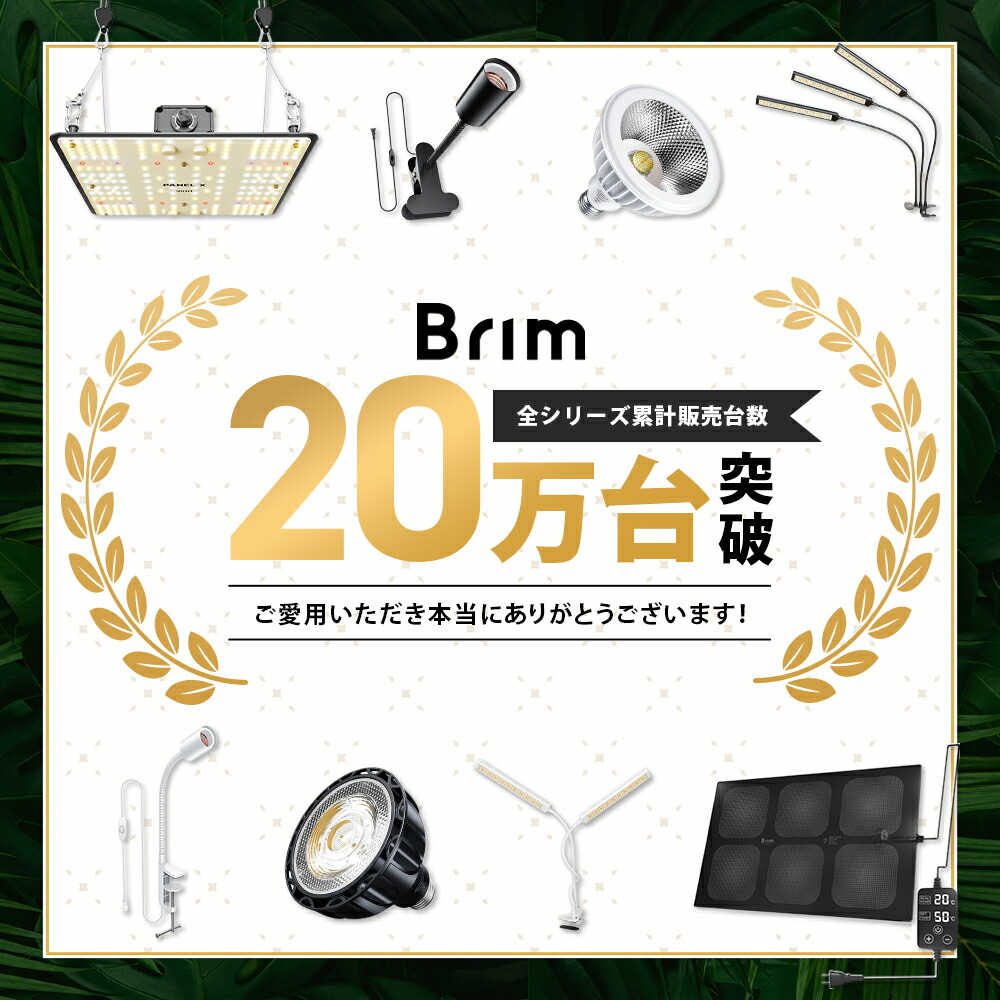楽天市場】【SS限定クーポン配布中 | Pt5倍】BRIM(ブリム) PANEL X