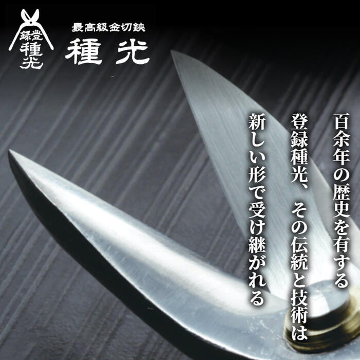 楽天市場】種光 オールステンレス製 柳刃 ビッグカットシリーズ 防錆