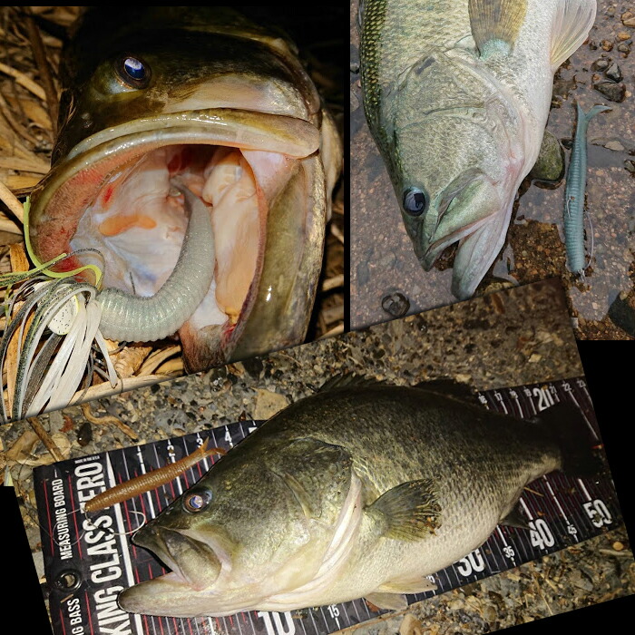 楽天市場】DRT クランプシャッド 4.5inch CRAMP SHAD : Lure＆Boats