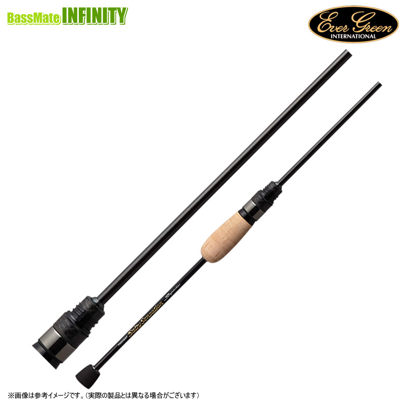 楽天市場】エバーグリーン EVERGREEN ソルティ センセーション