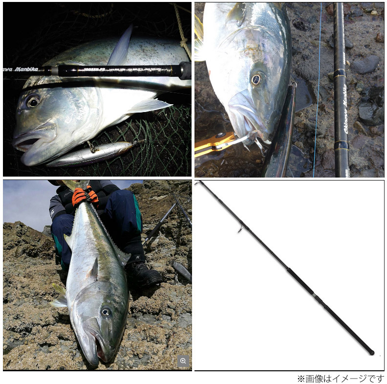 楽天市場】○テイルウォーク オキナワマンビカ 100SSXH (スピニング