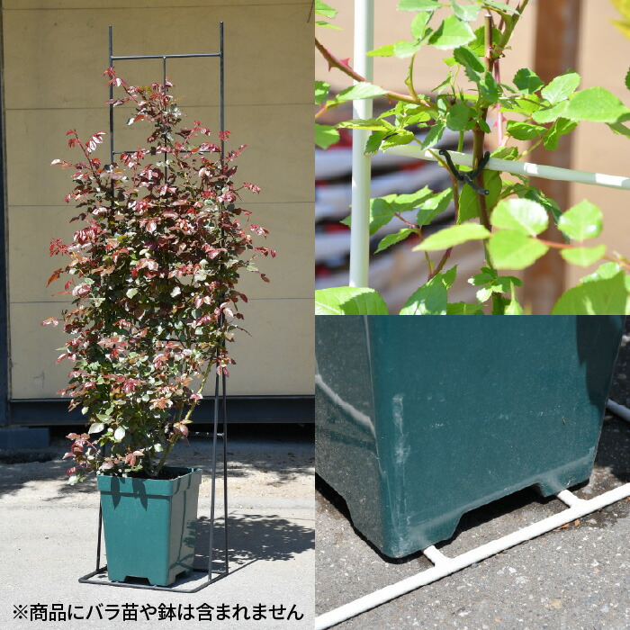 楽天市場】【Bells More】グローフェンス【本体】◇配送日時指定不可