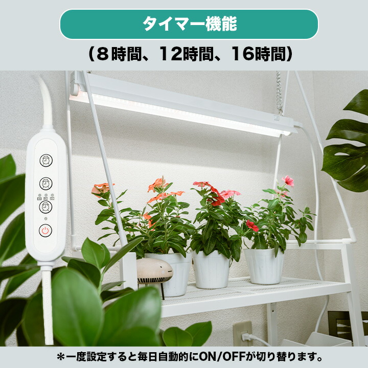 楽天市場】【P10倍以上!エントリー必須】LED植物育成ライト 卓上育成