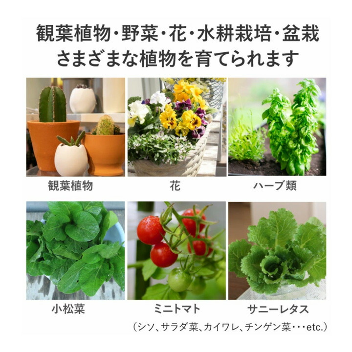 楽天市場】【P10倍以上+最大56%OFF！エントリー必須】LED 植物育成 水