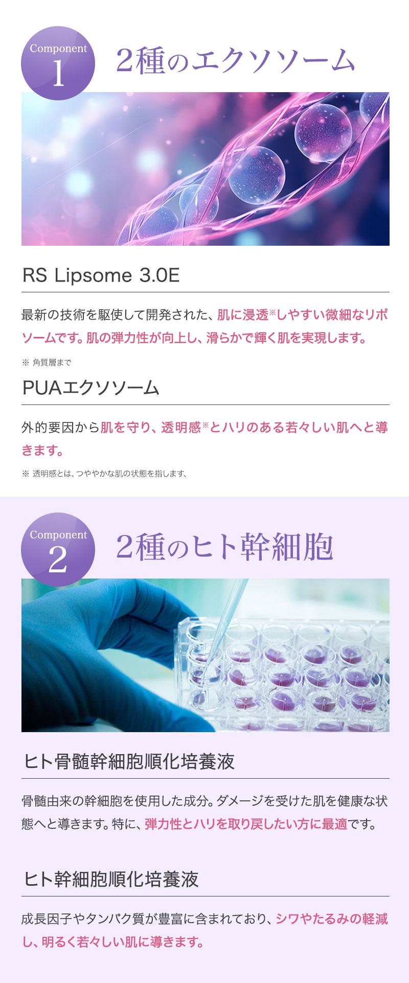 楽天市場】【正規販売店/送料無料】セインムー クラッキング W