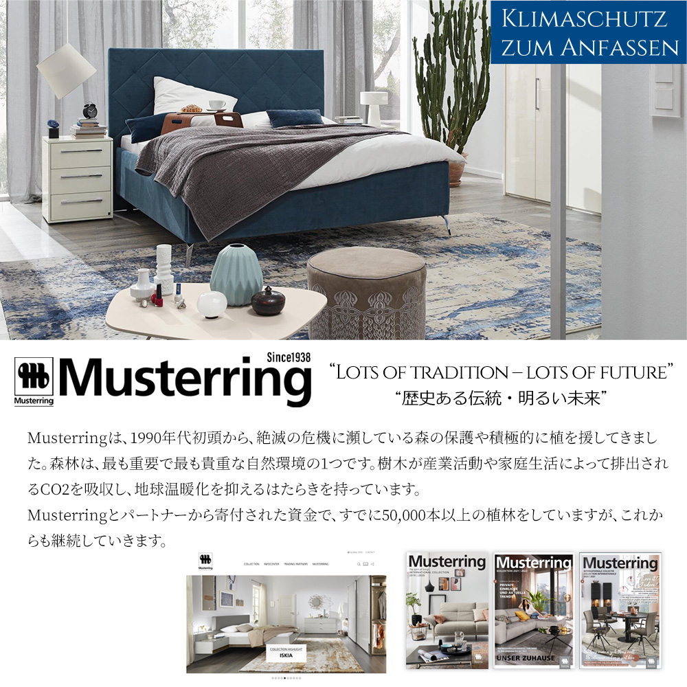 楽天市場】【5の倍数日最大P10倍】【SS期間限定10%オフ】マットレス