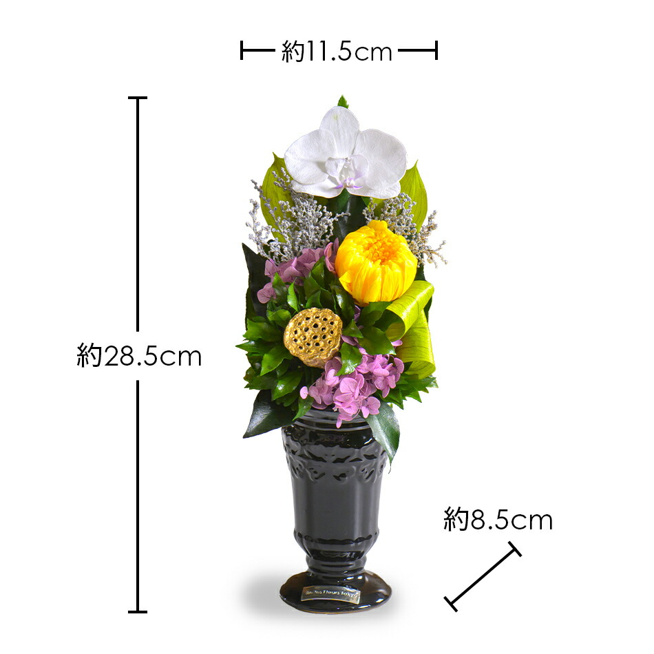 楽天市場】即日発送「蓮華 れんげ」プリザーブドフラワーベル