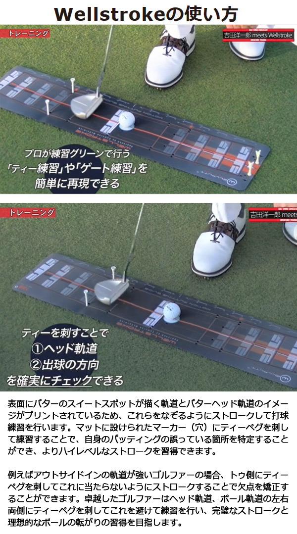 楽天市場】【23年継続モデル】 ウェルストローク wellstroke/ARC12