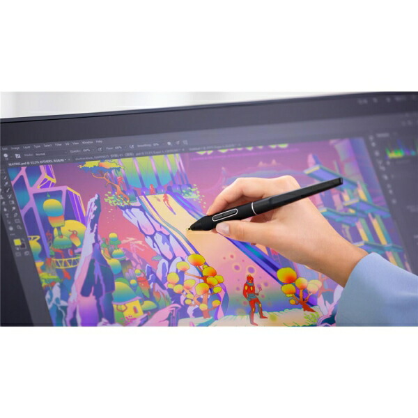 楽天市場】HUION 液晶ペンタブレット21.5型（ブラック） フイオン