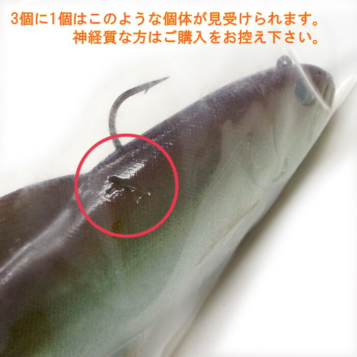 楽天市場】ハドルストン ハドルトラウト 8インチ ROF-0 背針タイプ