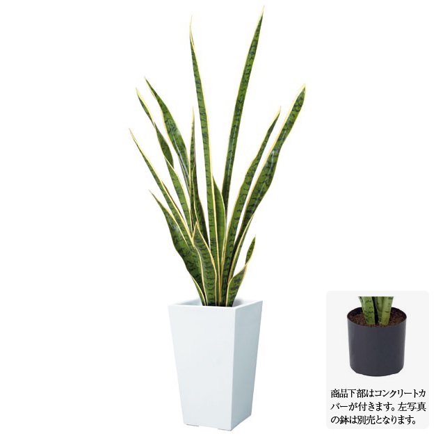 楽天市場】フェイクグリーン サンセベリア 105cm グリーン／ホワイト