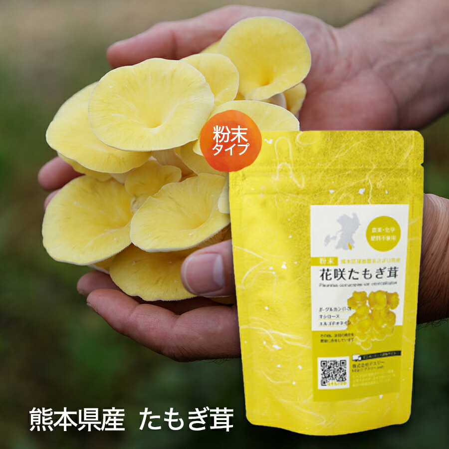 楽天市場】【楽天スーパーSALE/20％OFF】公式 たもぎ茸 粉末 パウダー