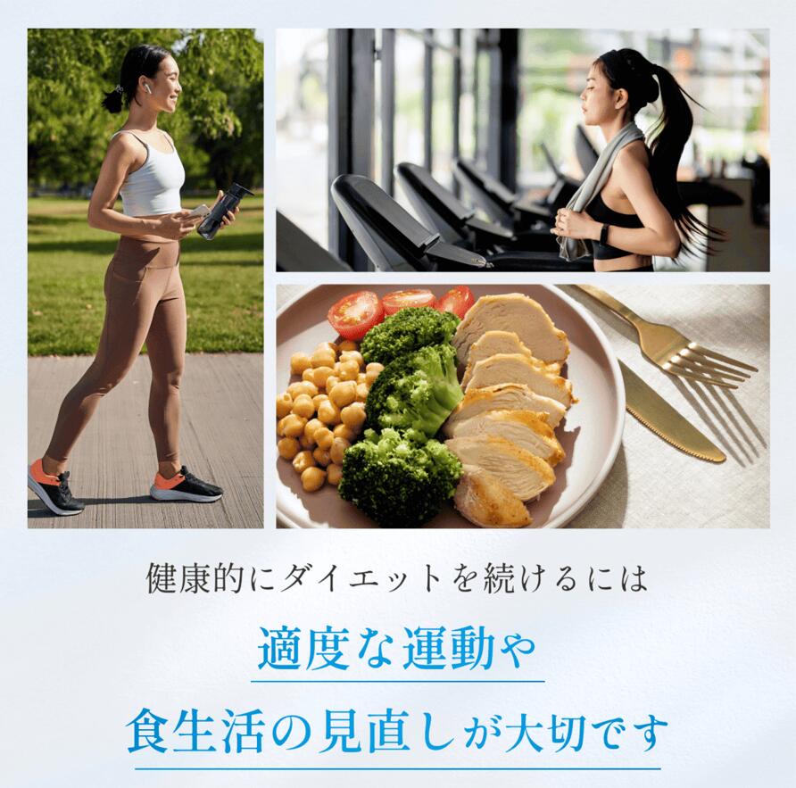 楽天市場】ダイエット サプリメント 抑制系 間食ケア 健康補助食品